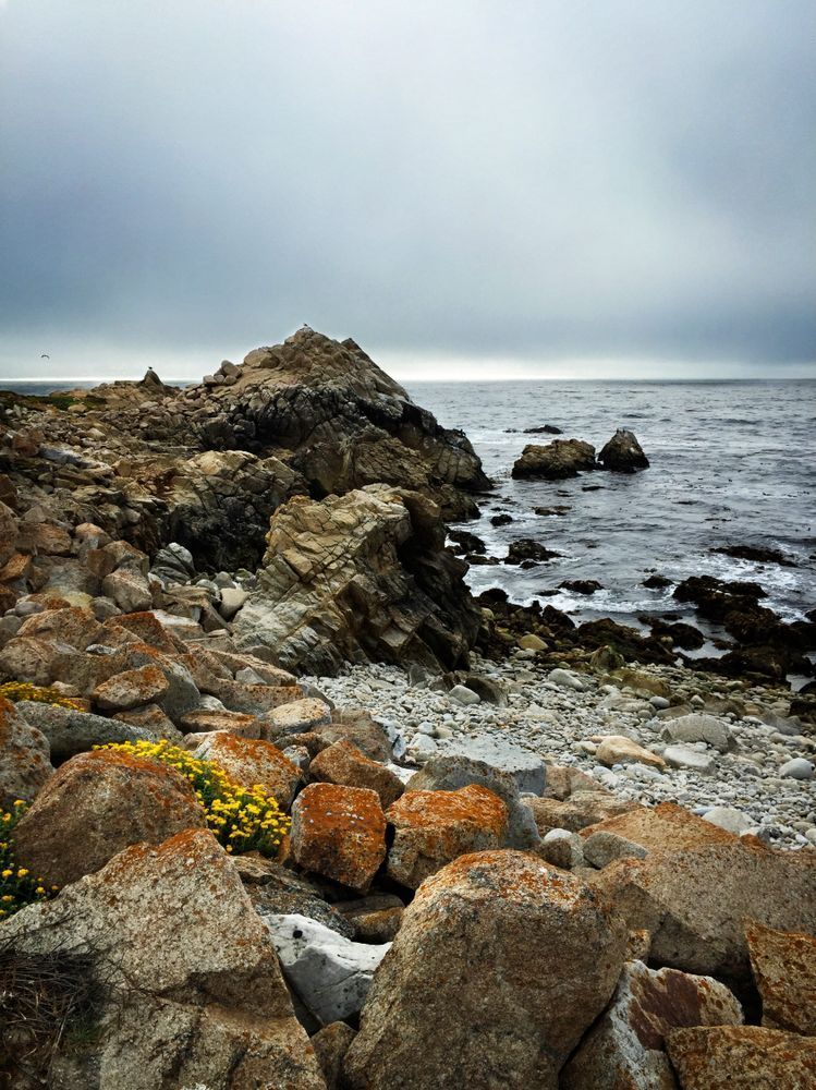 Monterey Coastline Color Art | Patrick Cosgrove Art and Photography