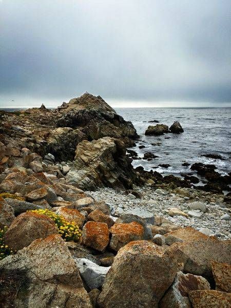 Monterey Coastline Color Art | Patrick Cosgrove Art and Photography