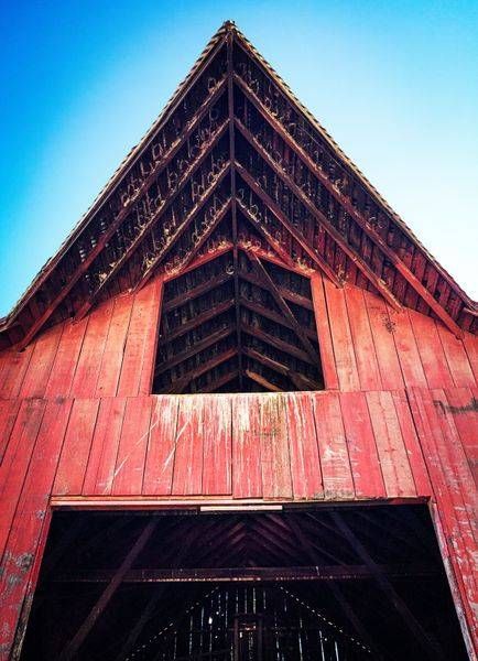 The roof peak of a red barn reaches toward the sky at Rominger Brothers Farm, Yolo County, California.