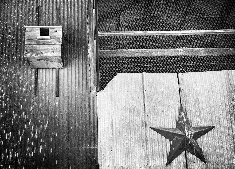 A bird box is mounted beside the star logo for the Pheasant Trek Ranch, Yolo County, California.