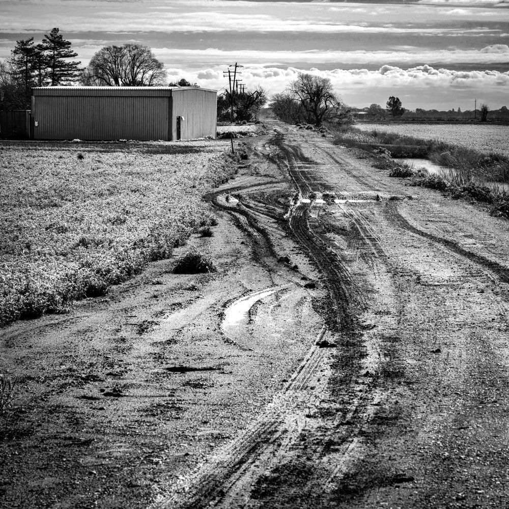 Unrelenting rains leave a farming truck path a muddy mess.