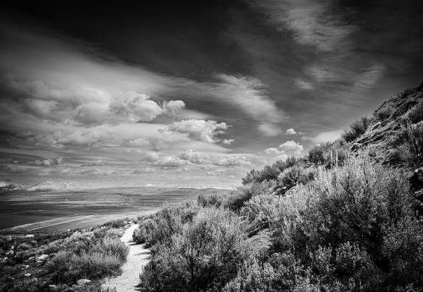 A path angles toward Buffalo Point on Antelope Island.