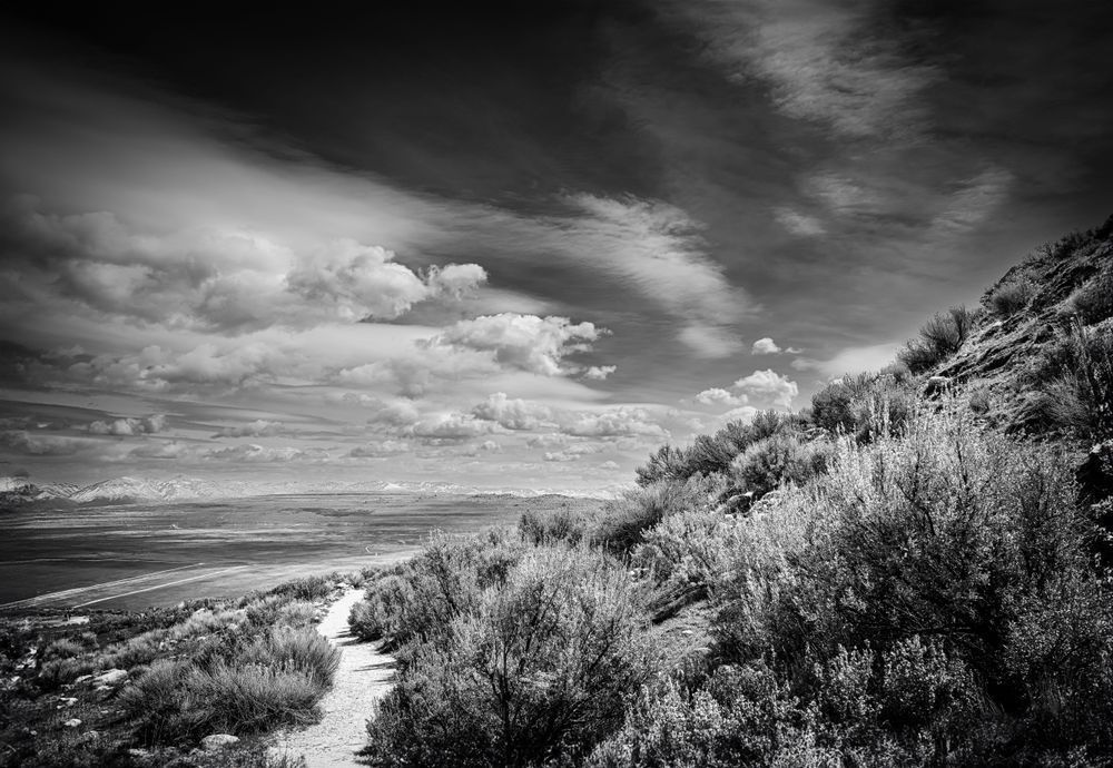A path angles toward Buffalo Point on Antelope Island.