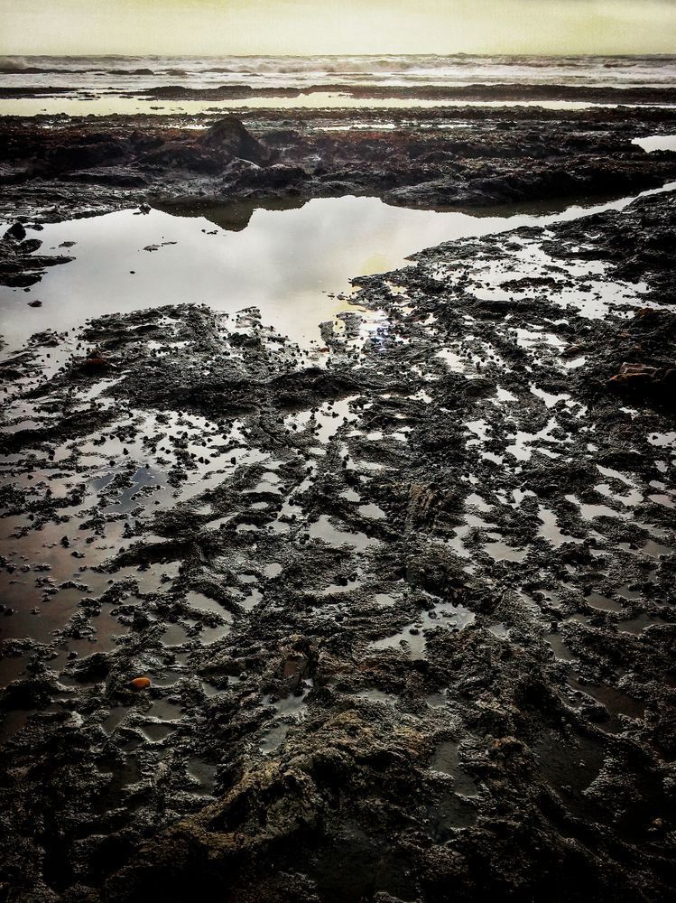 Late Afternoon Tidepool Art | Patrick Cosgrove Art and Photography