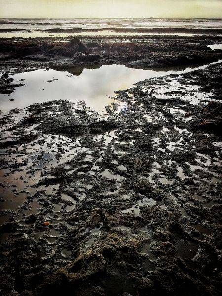 Late Afternoon Tidepool Art | Patrick Cosgrove Art and Photography