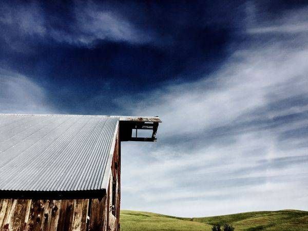 A weathered barn stands against the intense California sky in Yolo County.