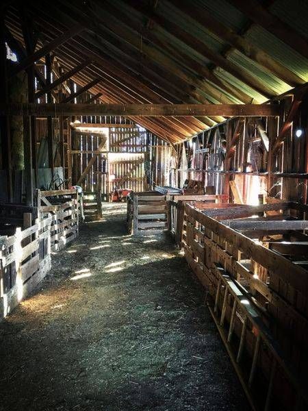 Early light enters a quiet barn at the Slaven Ranch in Yolo County, California.