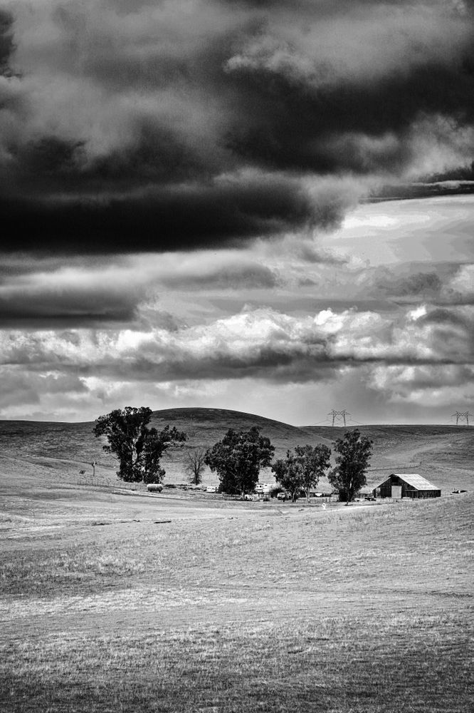 Slaven Sheep Ranch of Yolo County seems lost in seas of hills and clouds. 