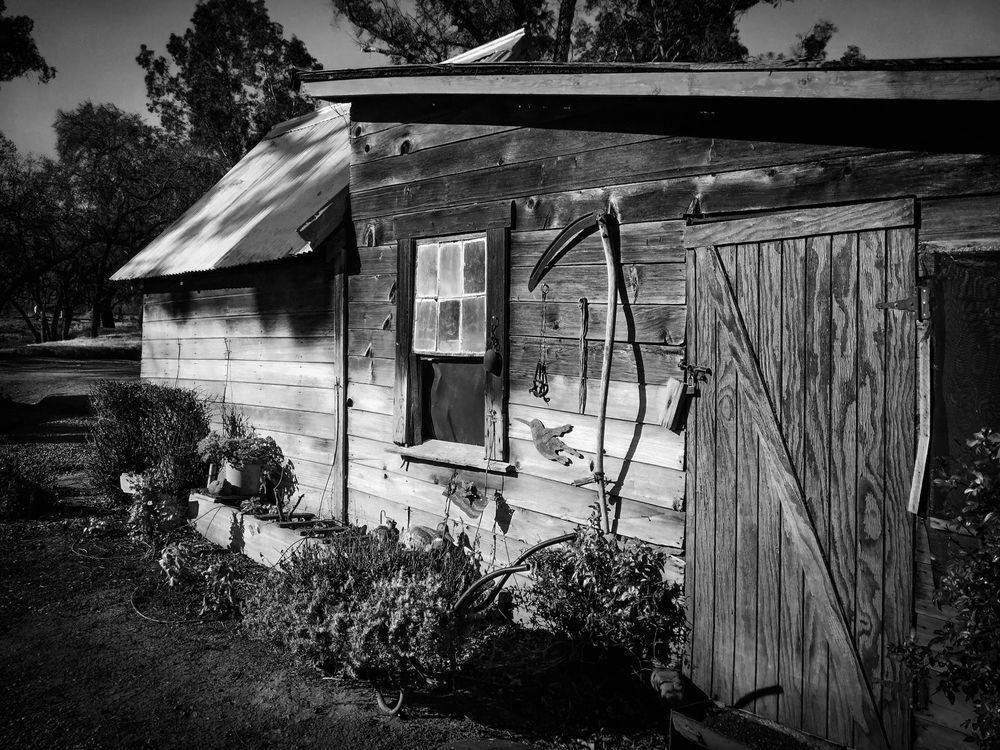 Morning light catches the texture of a weathered shed and the scythe mounted on its wall.