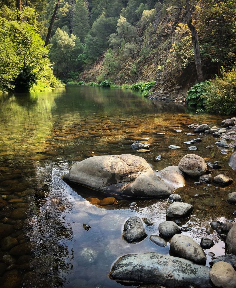 The Sacramento River flows peacefully near its origins in Siskiyou County, California.
