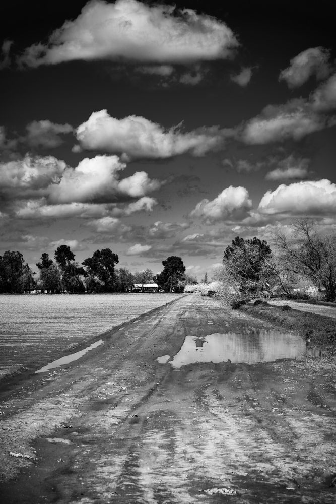 Water puddles upon a farm field in the aftermath of Spring storms.