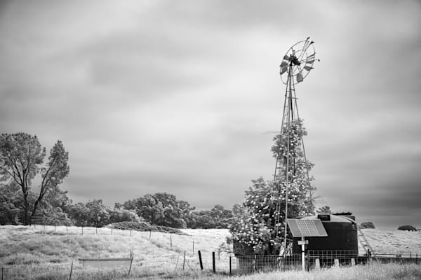 A windmill awaits air movement to pull groundwater from the hilly farmland of Pete's Valley in Yolo County, California.