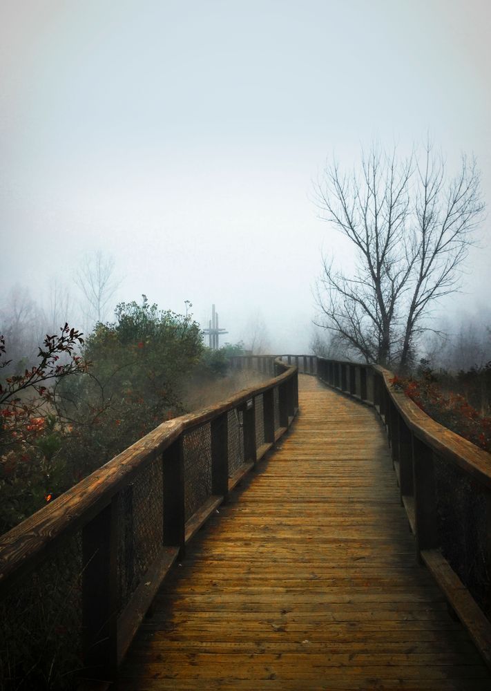 Partansky Boardwalk, Winter Art | Patrick Cosgrove Art and Photography