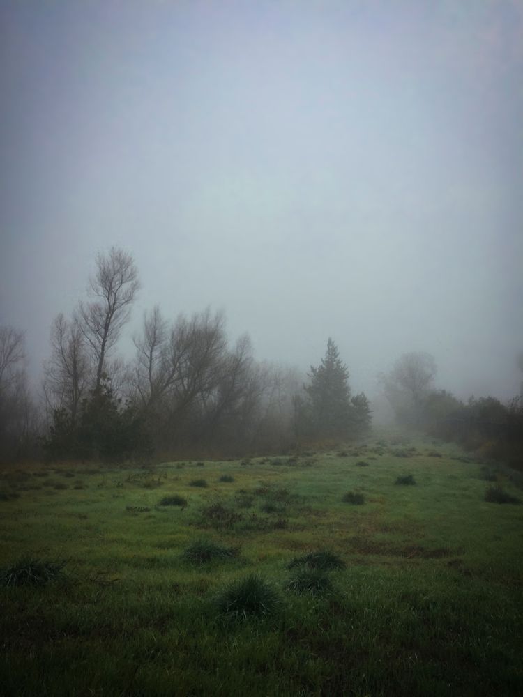 Clumpy Fog Art | Patrick Cosgrove Art and Photography