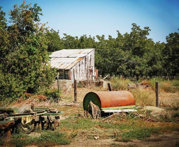 A tired shack sits unused near the walnut orchard of Pollock Farm.