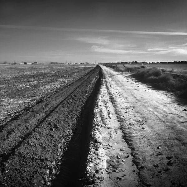 A tractor has carved brushstrokes in the Springtime earth, Yolo County, California.