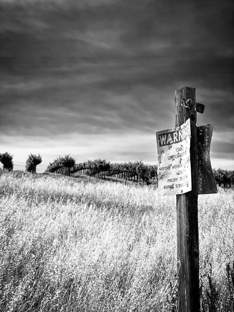 An abused sign serves up a lonely warning on a grassy hill at M3 Ranches in Yolo County, California.