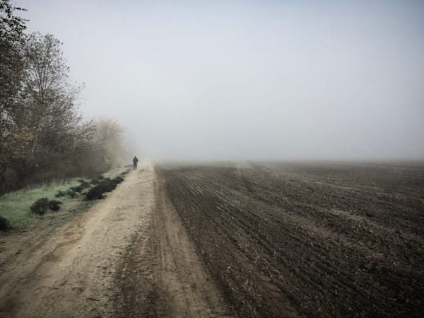 A lone individual shuffles along the edge of a Yolo County farm field, seemingly without purpose in the morning fog.
