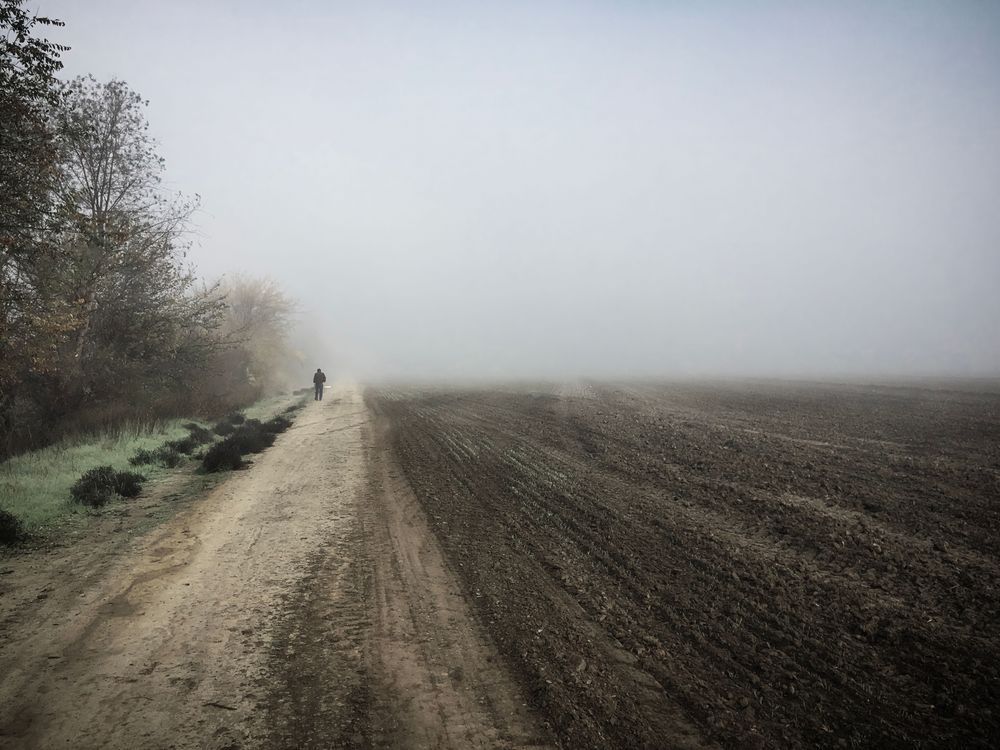 A lone individual shuffles along the edge of a Yolo County farm field, seemingly without purpose in the morning fog.