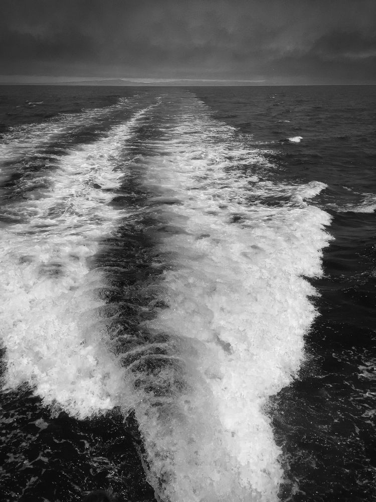 Wake Art | Patrick Cosgrove Art and Photography