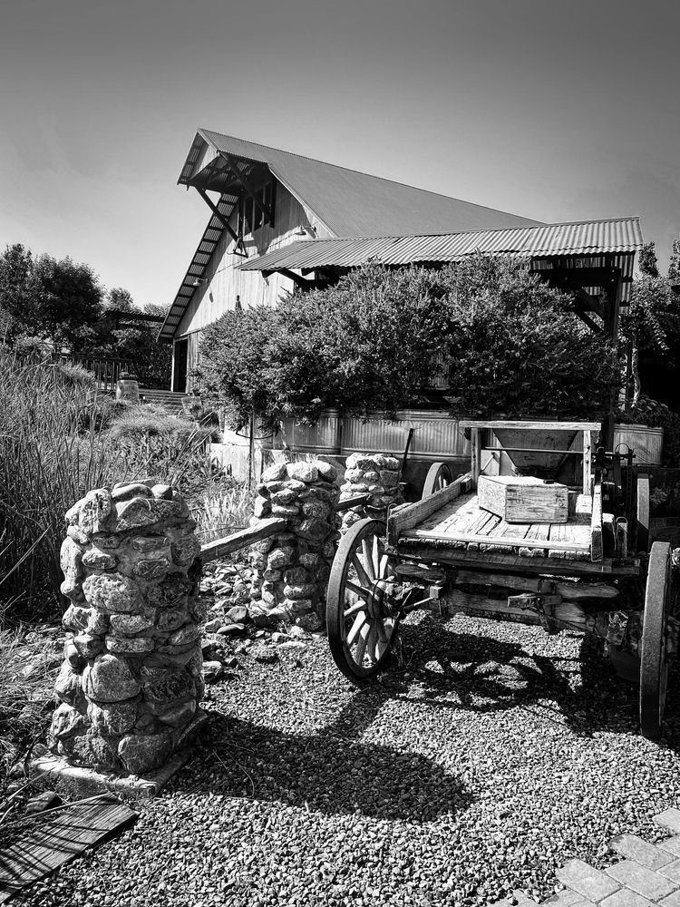 Visitors to the Taber Ranch Vineyards and Events Center will pass a vintage wagon on the way to the barn.