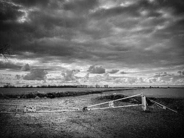 Woodland Stormy Sky No.3 Art | Patrick Cosgrove Art and Photography