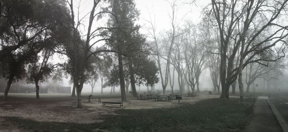 Winter Picnic Art | Patrick Cosgrove Art and Photography