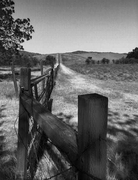 A farm fence stretches to the horizon on a farm in Winters, Yolo County, California.