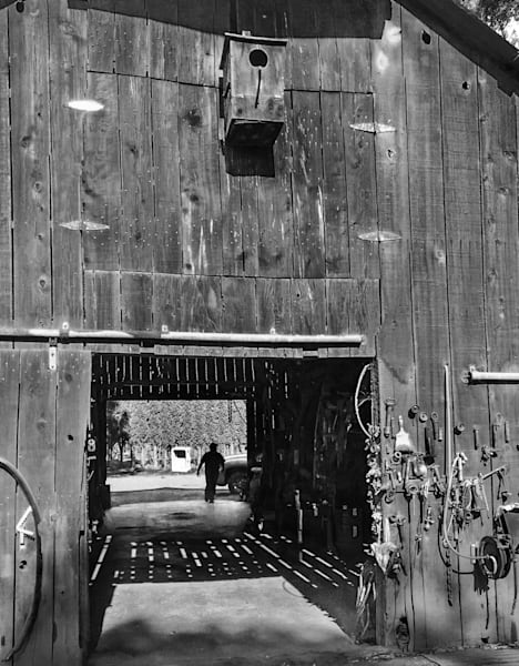 A farmer works in the shadows of his barn in Winters, Yolo County, California