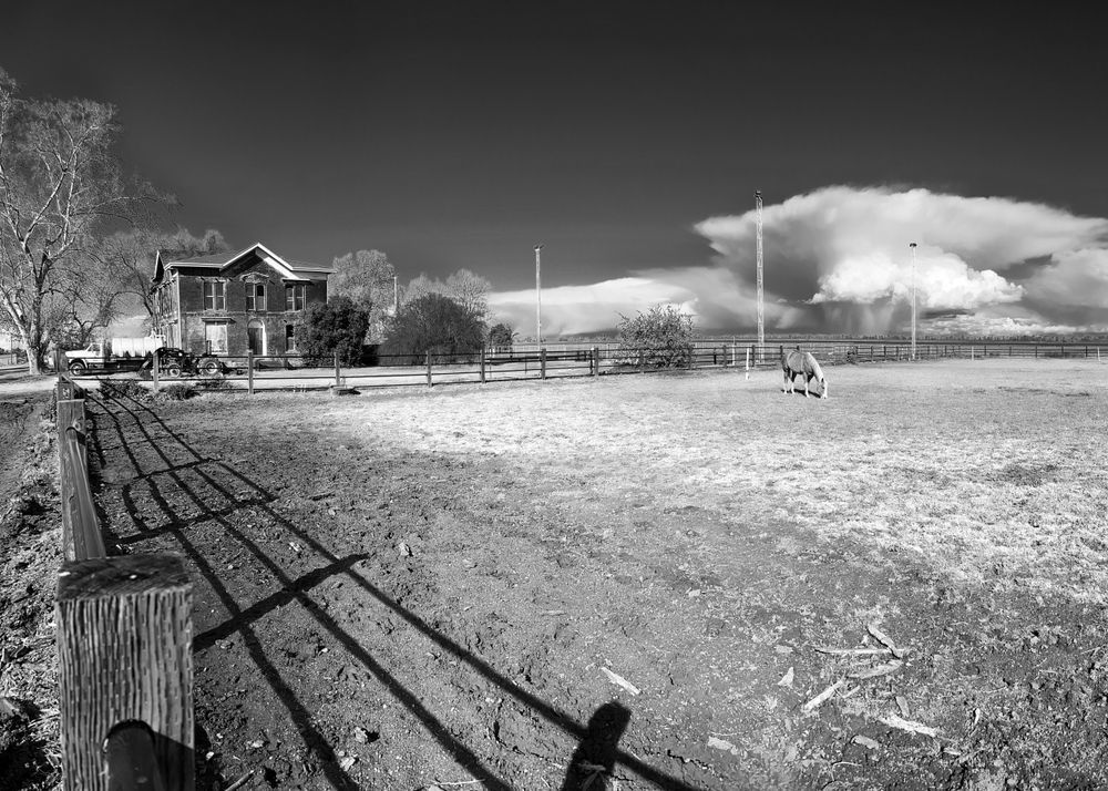 Turned Out At Sugarland No.2 Art | Patrick Cosgrove Art and Photography