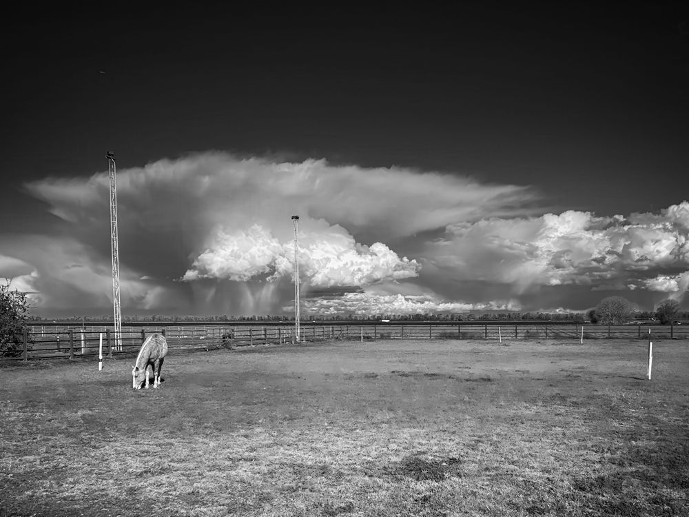 Turned Out At Sugarland No.1 Art | Patrick Cosgrove Art and Photography