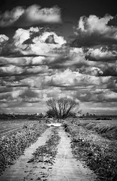 A muddy truck path dries beneath partly cloudy skies after a Spring storm in Yolo County, California.