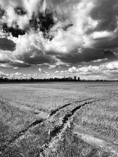 Tractor Art No.14 Art | Patrick Cosgrove Art and Photography