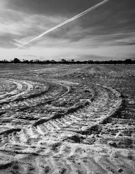 A tractor has left behind brushstrokes in the earth, Yolo County, California.
