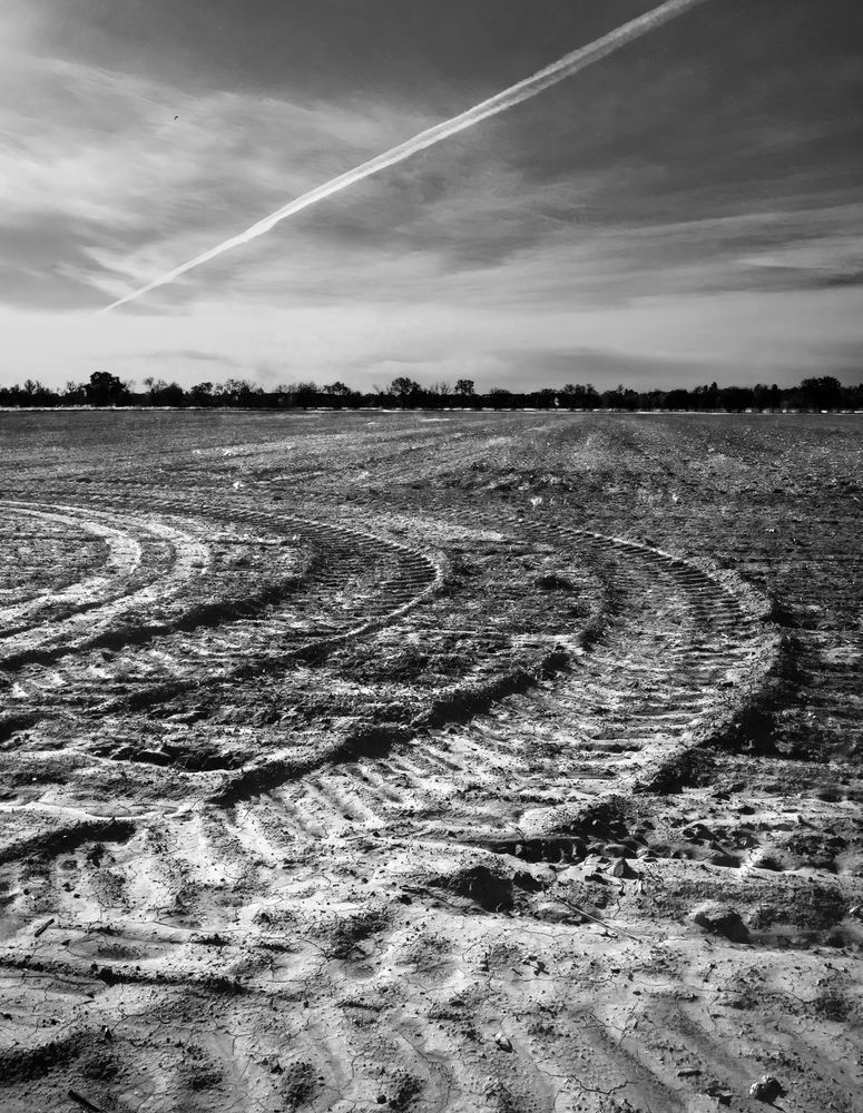 A tractor has left behind brushstrokes in the earth, Yolo County, California.

