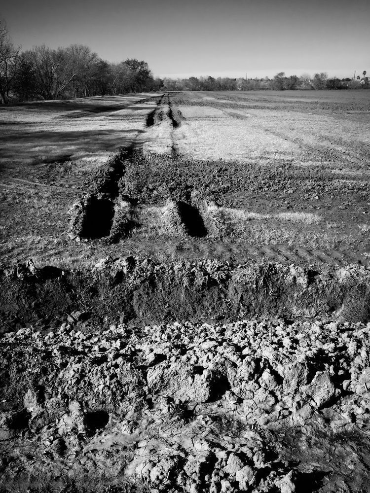 A tractor has left behind muddy brushstrokes in the earth, Yolo County, California.
