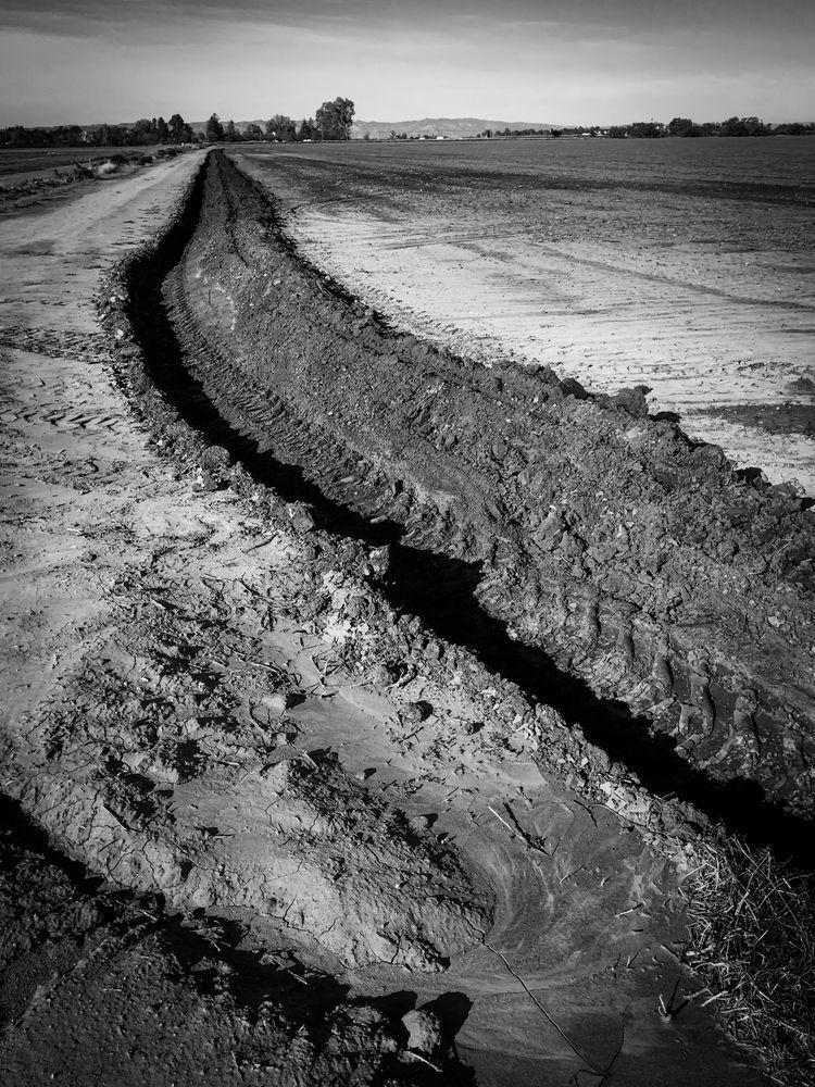 A tractor has plowed a graceful arc through a farm field in Yolo County, California.