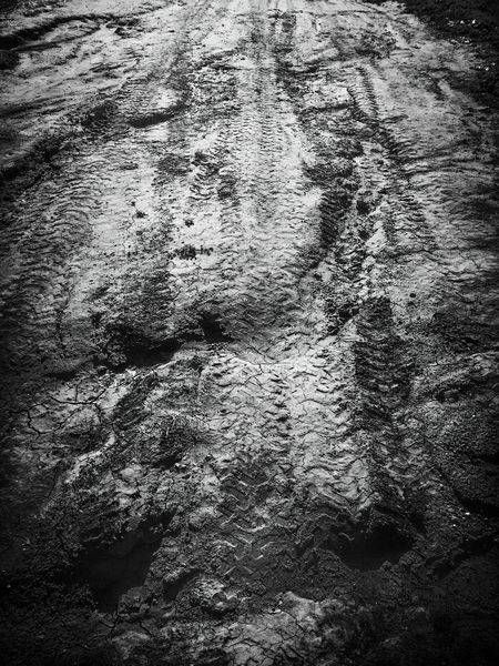 A tractor has left behind an abstract painting in the earth, Yolo County, California.