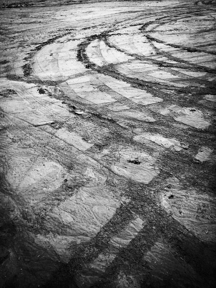 A tractor leaves graceful arcs in a farm field, Yolo County, California.