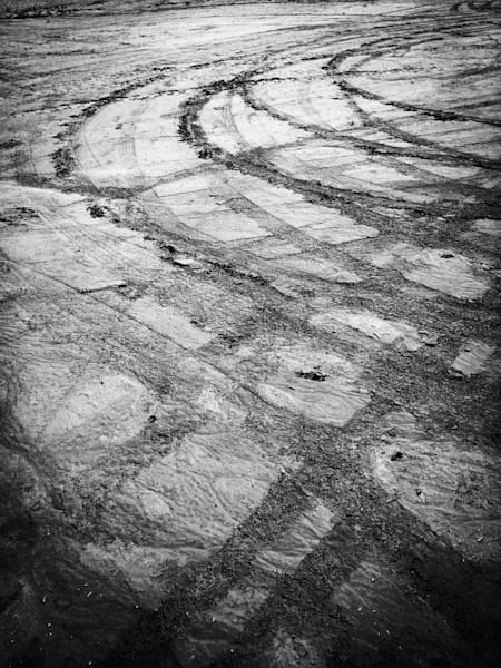 A tractor leaves graceful arcs in a farm field, Yolo County, California.