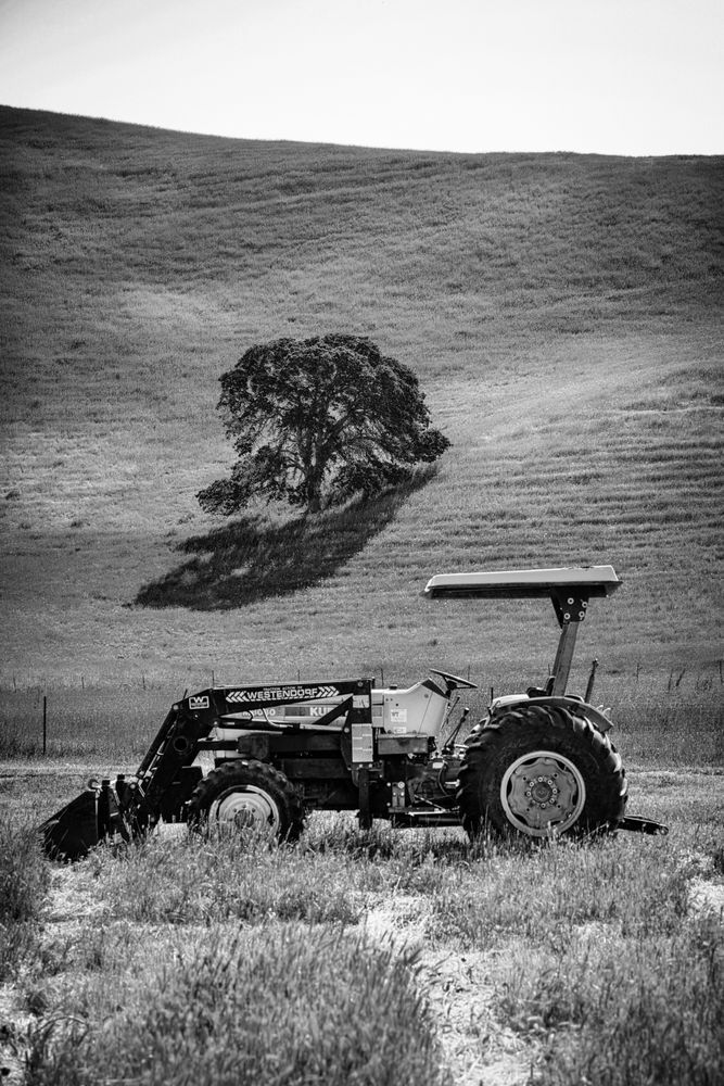 A tractor awaits its next job, at the base of a rolling hill and an oak in Yolo County farm country.