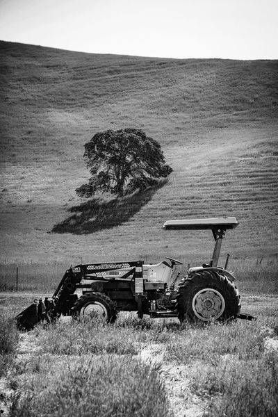 A tractor awaits its next job, at the base of a rolling hill and an oak in Yolo County farm country.