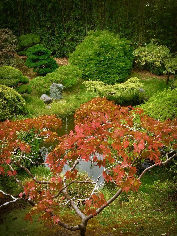Japanese Tea Garden No.1 Art | Patrick Cosgrove Art and Photography