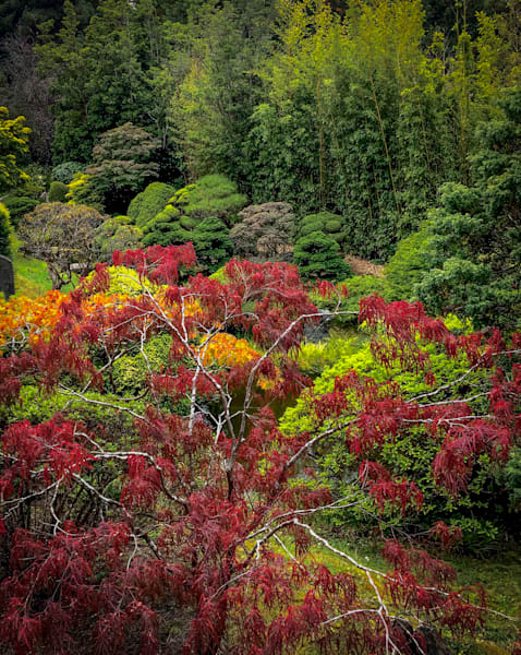 Japanese Tea Garden No.2 Art | Patrick Cosgrove Art and Photography