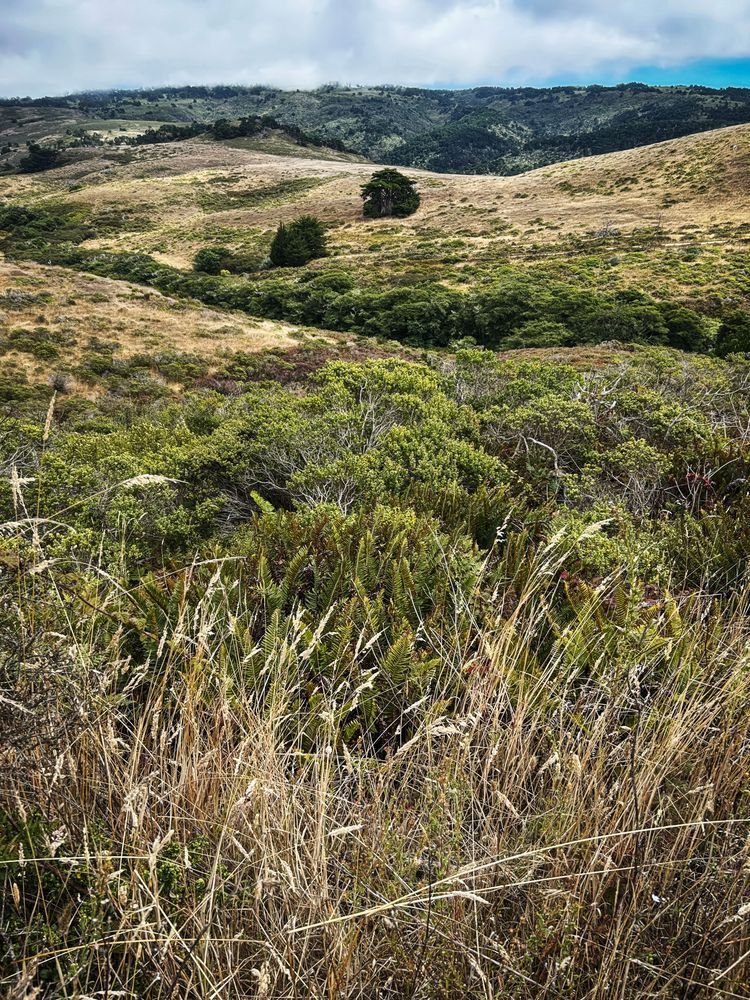 Estero Trail No.3 Art | Patrick Cosgrove Art and Photography
