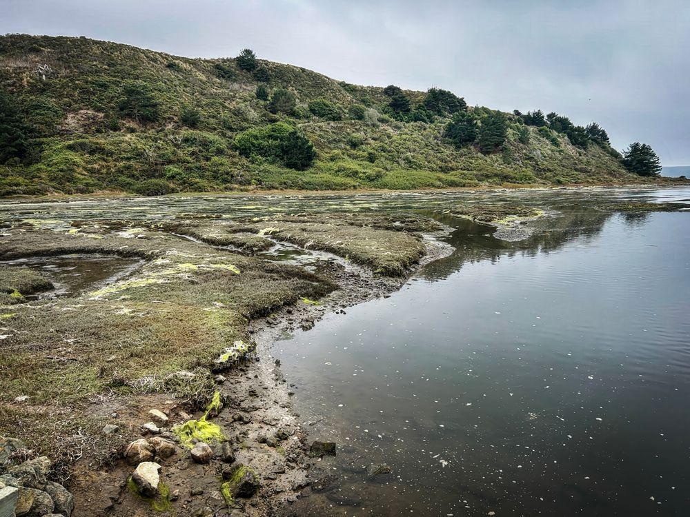 Drake's Estero No.5 Art | Patrick Cosgrove Art and Photography