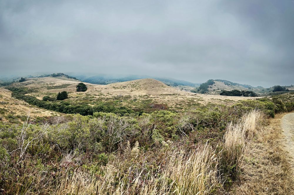 Estero Trail No.1 Art | Patrick Cosgrove Art and Photography
