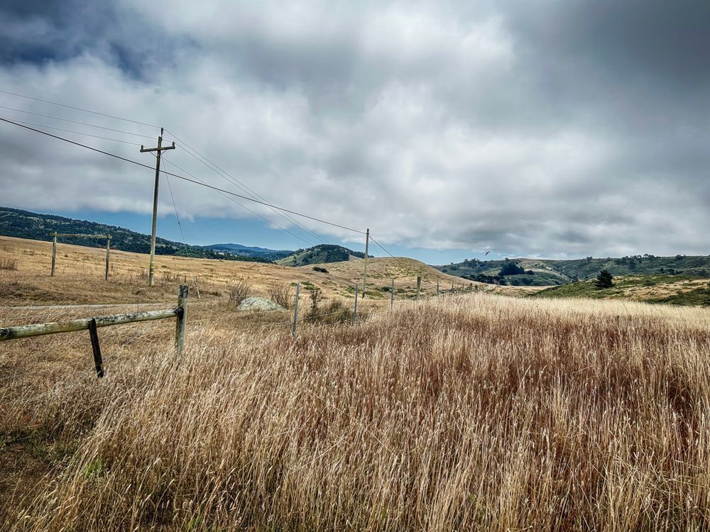 Estero Trail No.2 Art | Patrick Cosgrove Art and Photography