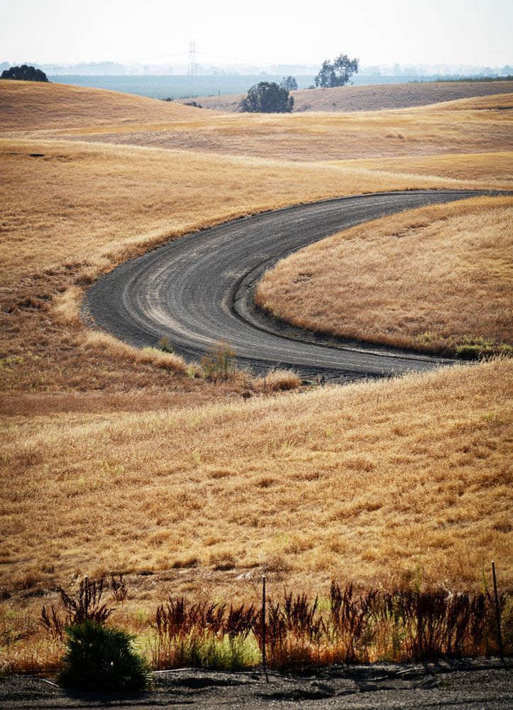 A long service road curves into the Zamora Hills Ranch in Yolo County, California.