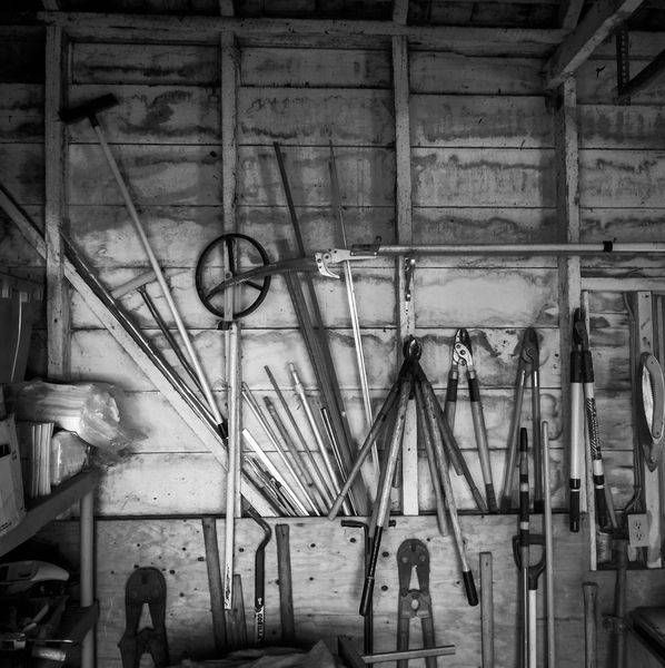 Carefully arranged tools await a day's work on Clos Cavanis Farm in Yolo County, California.